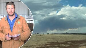 Great Southern farmer Jaxon Peakall was tragically killed during a bushfire.