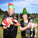 festive-pooch-party-lights-up-chessington-street-dog-park