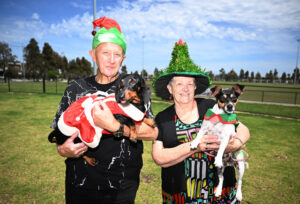 festive-pooch-party-lights-up-chessington-street-dog-park