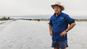 floods-hit-north-west-australia-with-477mm-rainfall-livestock-stranded