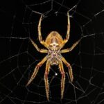 governments-debate-age-limits-to-protect-children-online