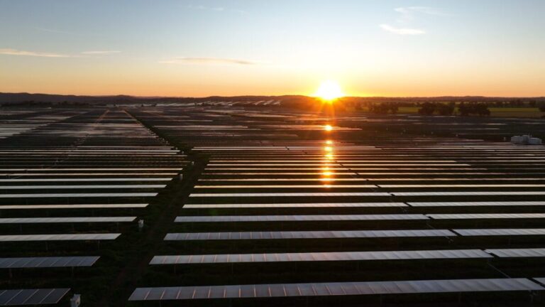 grass-fire-halts-operations-at-major-solar-farm-in-nsw