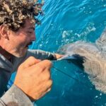 great-white-shark-bites-boat-after-fisherman-s-35-minute-chase