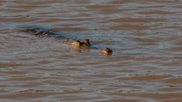 heroic-officer-rescues-body-from-croc-infested-floodwaters
