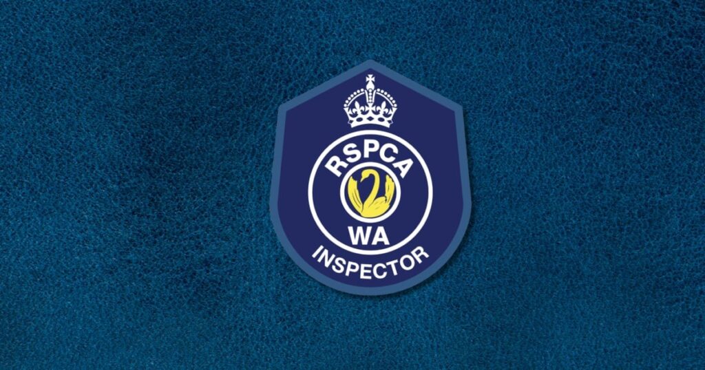 hkust-honors-tsang-family-with-naming-ceremony-for-towers