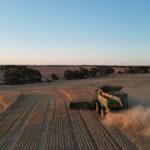 koorda-agricultural-society-s-successful-wheat-crop-funds-2025-show