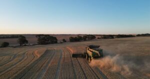 koorda-agricultural-society-s-successful-wheat-crop-funds-2025-show