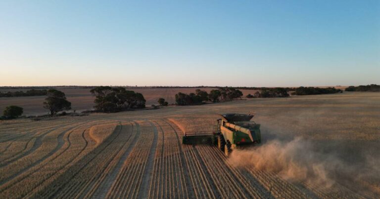 koorda-agricultural-society-s-successful-wheat-crop-funds-2025-show