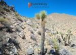 locksley-resources-identifies-new-rare-earth-targets-in-mojave