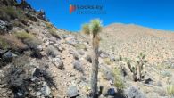 locksley-resources-identifies-new-rare-earth-targets-in-mojave