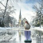 major-august-snowstorm-hits-armidale-leaves-city-blanketed-in-snow