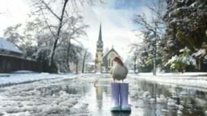 major-august-snowstorm-hits-armidale-leaves-city-blanketed-in-snow