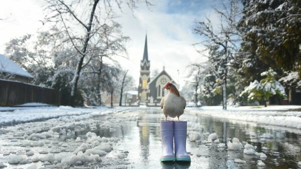 major-august-snowstorm-hits-armidale-leaves-city-blanketed-in-snow