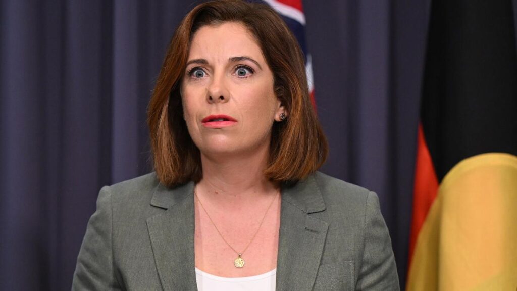 ANTHONY ALBANESE BTN SOCIAL MEDIA BAN PROGRAM