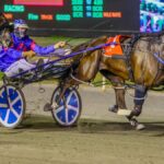 minstrel-surges-to-2-15-favorite-for-wa-pacing-cup-after-draw