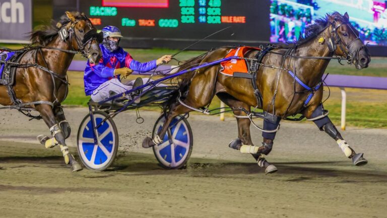 minstrel-surges-to-2-15-favorite-for-wa-pacing-cup-after-draw