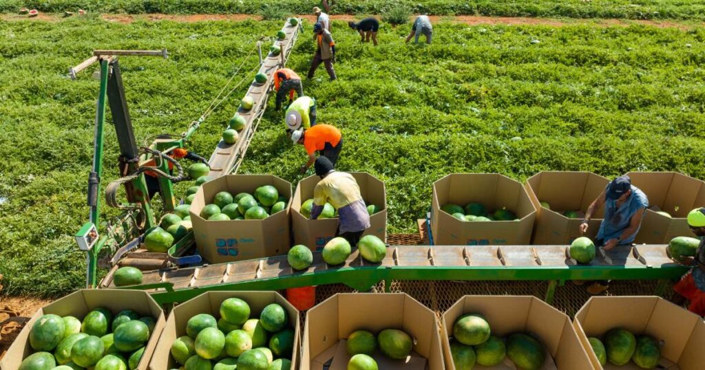 national-food-council-faces-backlash-over-industry-representation