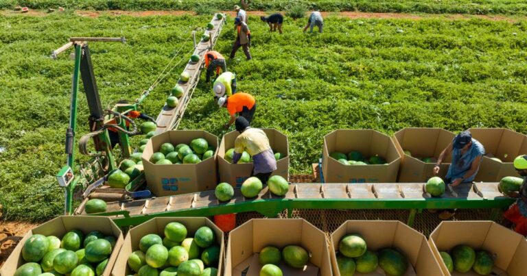 national-food-council-faces-backlash-over-industry-representation