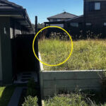 neighbour-s-overgrown-lawn-sparks-safety-concerns-for-family