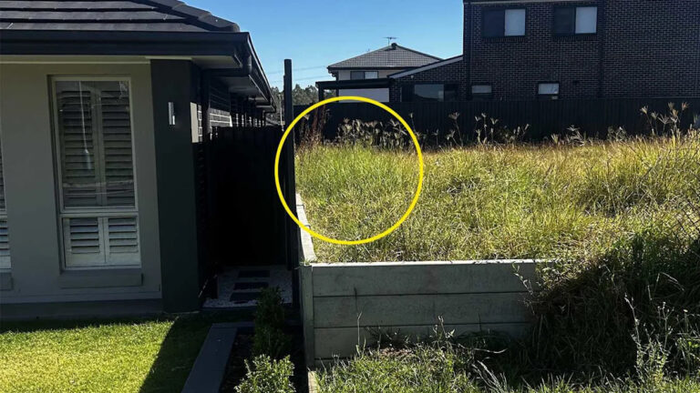 neighbour-s-overgrown-lawn-sparks-safety-concerns-for-family