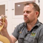 new-app-provides-essential-first-aid-guidance-for-snake-bites