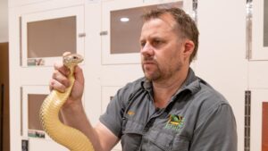 new-app-provides-essential-first-aid-guidance-for-snake-bites