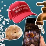 new-discoveries-illuminate-the-frontiers-of-science-globally