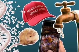 new-discoveries-illuminate-the-frontiers-of-science-globally