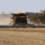 new-holland-cr11-header-transforms-wheat-harvesting-in-wa