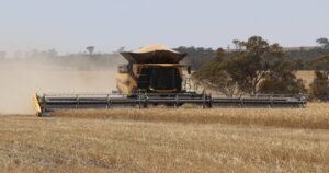 new-holland-cr11-header-transforms-wheat-harvesting-in-wa