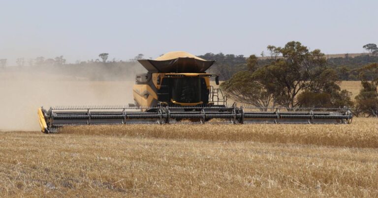 new-holland-cr11-header-transforms-wheat-harvesting-in-wa