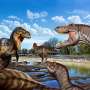 new-study-confirms-nanotyrannus-as-distinct-species-not-t-rex
