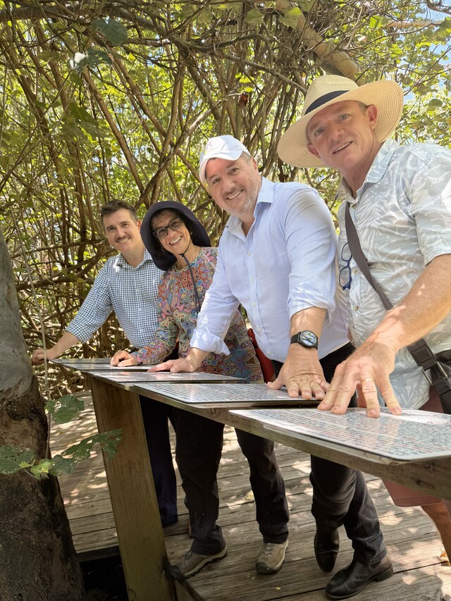 new-year-s-day-celebrations-ignite-across-keppel-islands-coast