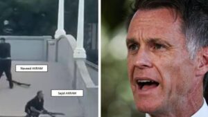 nsw-gun-and-protest-laws-passed-just-before-christmas-eve