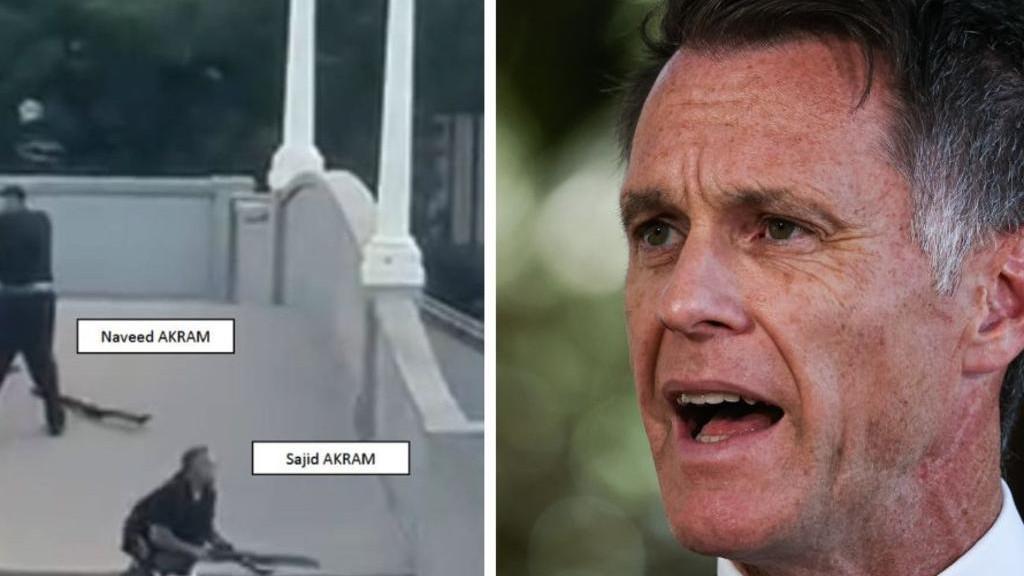 nsw-gun-and-protest-laws-passed-just-before-christmas-eve