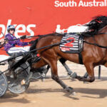 omnia-triumphs-in-20-000-southern-cross-final-at-globe-derby