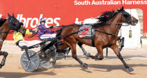 omnia-triumphs-in-20-000-southern-cross-final-at-globe-derby