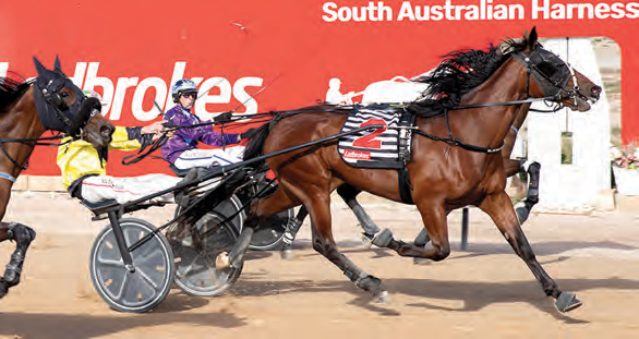 omnia-triumphs-in-20-000-southern-cross-final-at-globe-derby