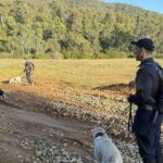 police-shift-focus-to-finding-body-of-alleged-officer-killer