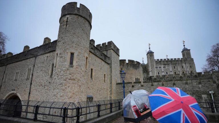 protesters-throw-custard-at-imperial-state-crown-in-london