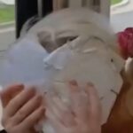 rabbi-reports-antisemitic-abuse-on-melbourne-tram-urgent-investigation-underway