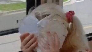 rabbi-reports-antisemitic-abuse-on-melbourne-tram-urgent-investigation-underway