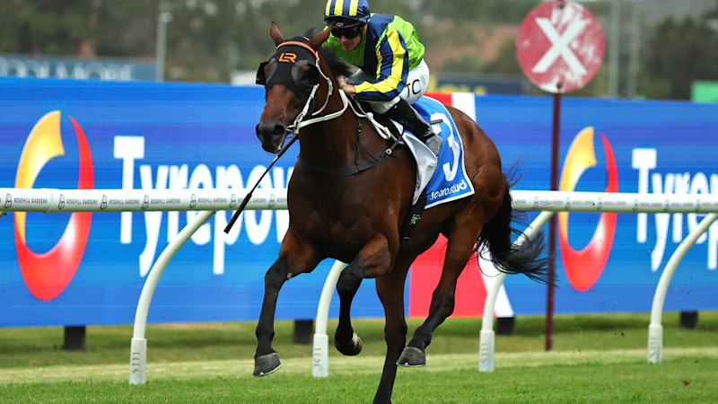 race-day-preview-tips-for-randwick-s-exciting-saturday-card