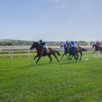 racing-queensland-saves-boxing-day-races-at-warwick-turf-club