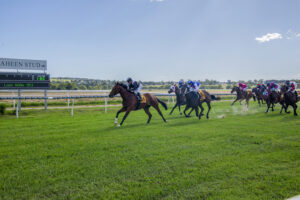 racing-queensland-saves-boxing-day-races-at-warwick-turf-club