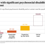 reforming-ndis-new-pathway-for-psychosocial-support-in-australia