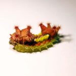 researchers-decode-venom-of-queensland-s-mottled-cup-moth