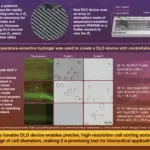 researchers-develop-tunable-cell-sorting-device-for-cancer-detection