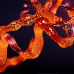 researchers-uncover-mechanism-of-insulin-quality-control-in-cells