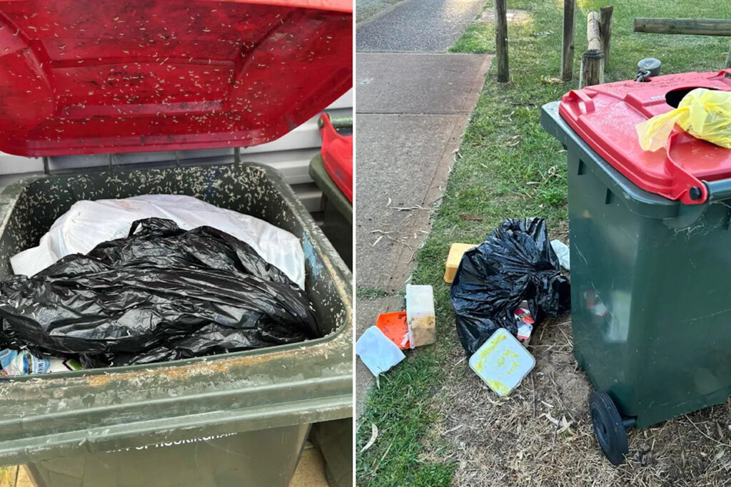 residents-outraged-over-disgusting-bin-crisis-in-wa-suburbs